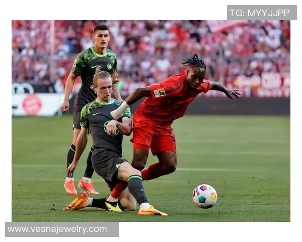 拜仁慕尼黑再胜柳州冰城精彩的比赛再次展现实力