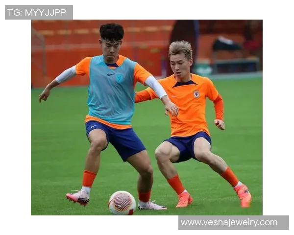 德甲球队青训助力后备人才持续涌现