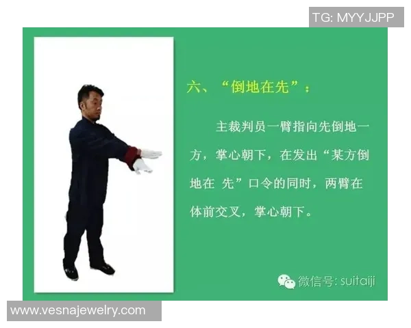 太极推手实战技巧探讨与应用分享让传统武术焕发新生