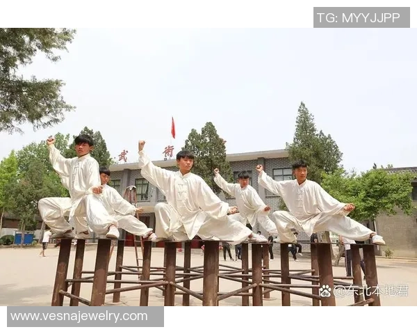 探索88太极拳的深厚文化底蕴与现代健身价值之旅