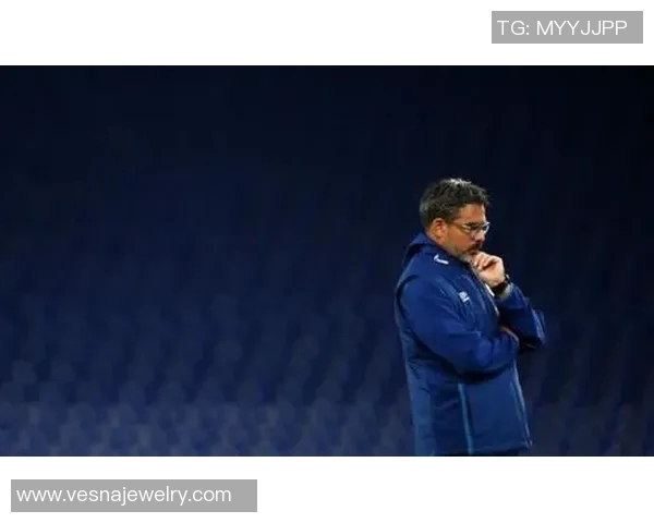 沙尔克04遭遇两连败坚持信念敲门砖重新整装待发