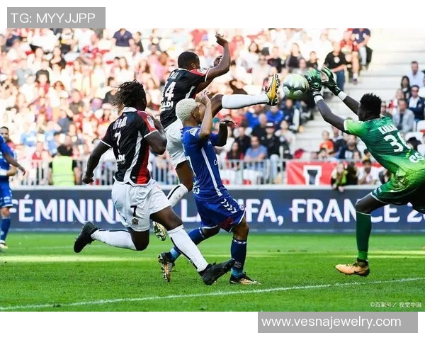 热刺宣布签下纽卡斯尔前锋，加强进攻实力